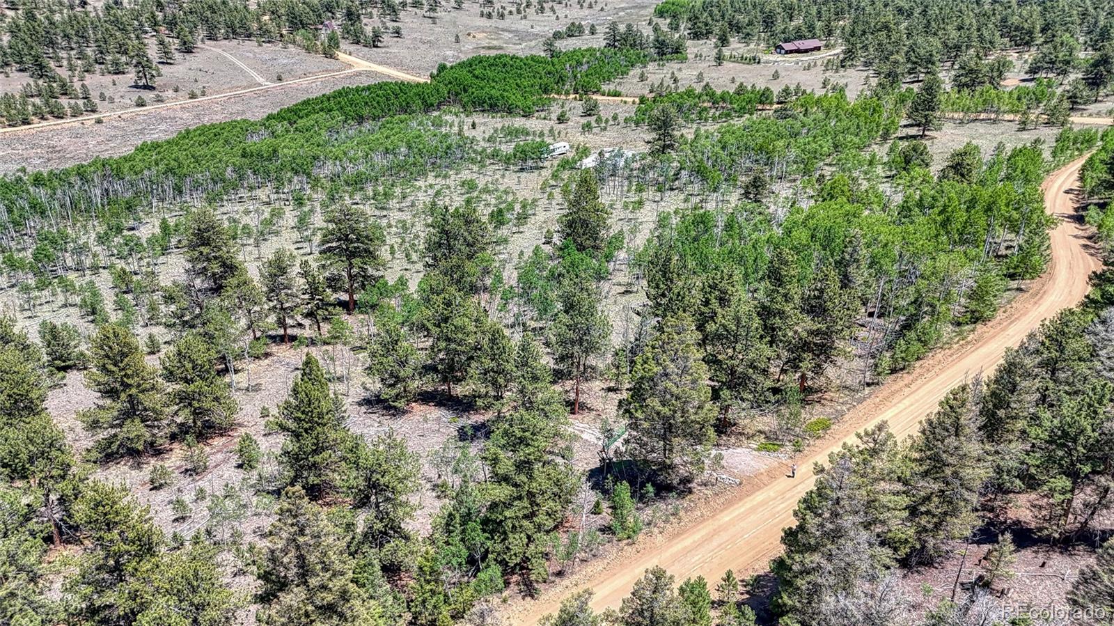 2338 Fitzsimmons Road Hartsel CO 80449