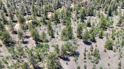 2338 Fitzsimmons Road Hartsel CO 80449