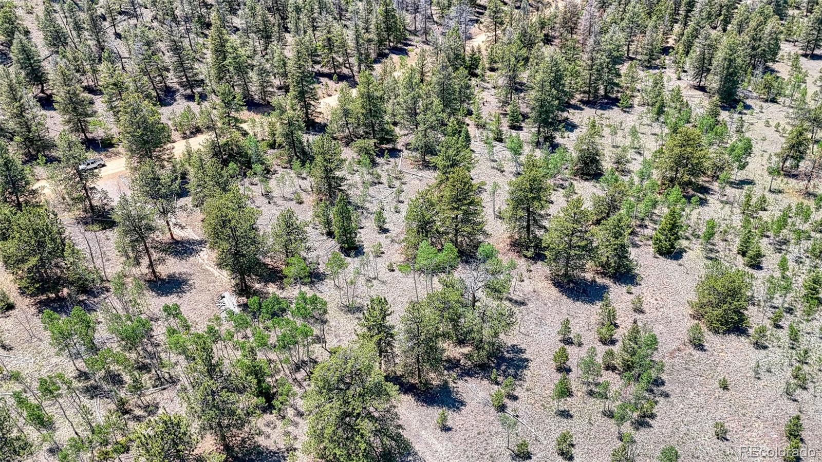 2338 Fitzsimmons Road Hartsel CO 80449