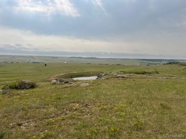 Tbd S State Highway 83 - 140 Acres Franktown CO 80116