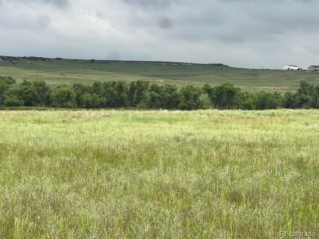 Tbd S State Highway 83 - 140 Acres Franktown CO 80116