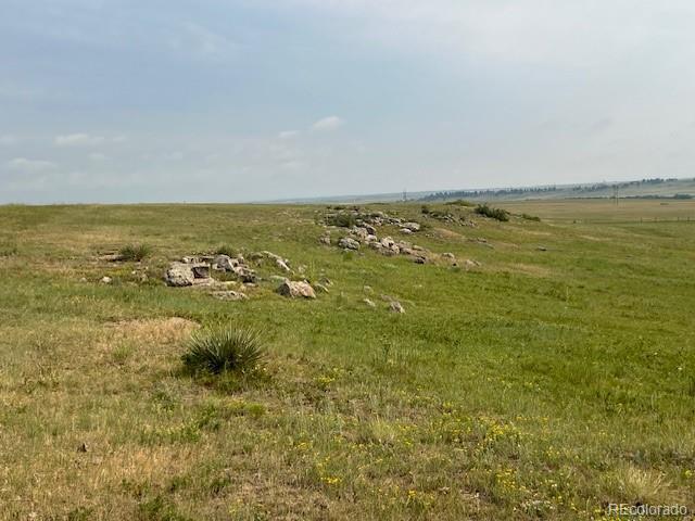 Tbd S State Highway 83 - 140 Acres Franktown CO 80116
