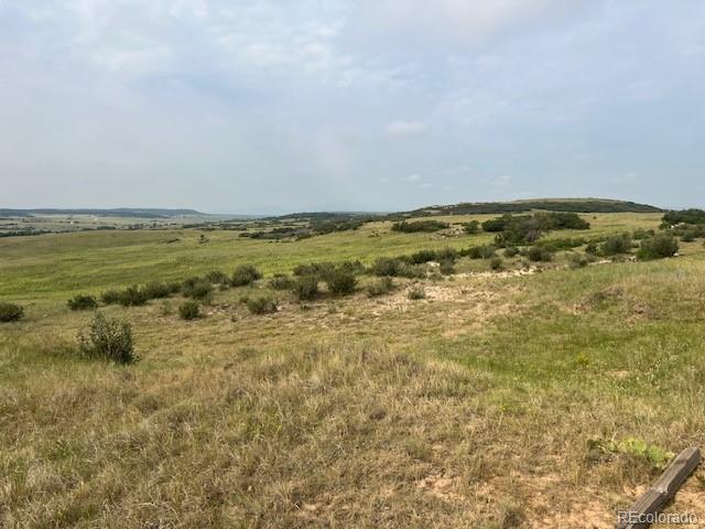 Tbd S State Highway 83 - 140 Acres Franktown CO 80116