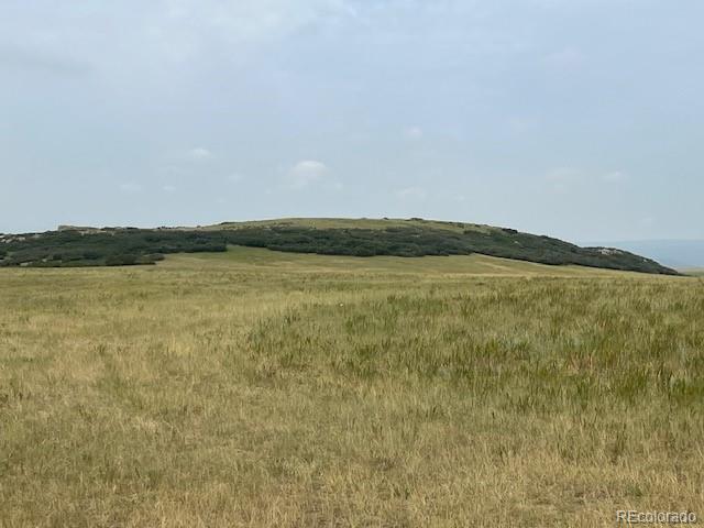 Tbd S State Highway 83 - 140 Acres Franktown CO 80116