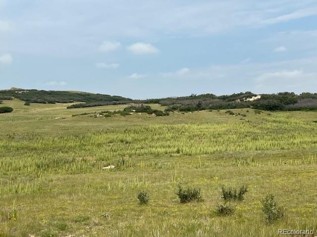 Tbd S State Highway 83 - 140 Acres Franktown CO 80116
