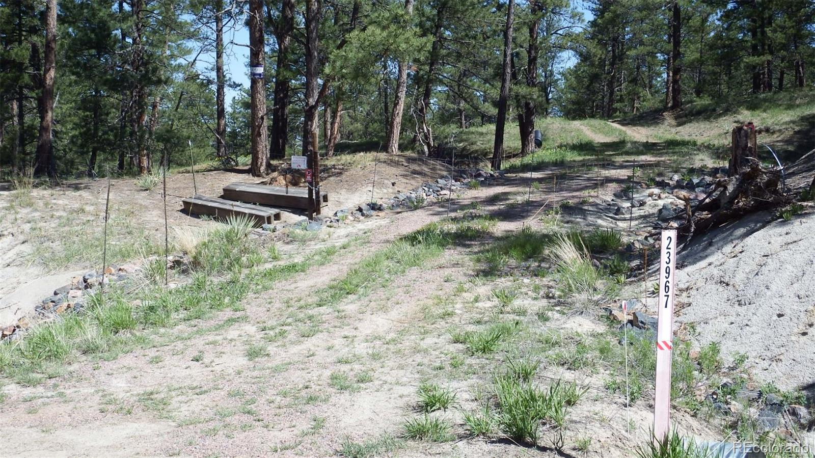 23967 High Timber Lane Agate CO 80101
