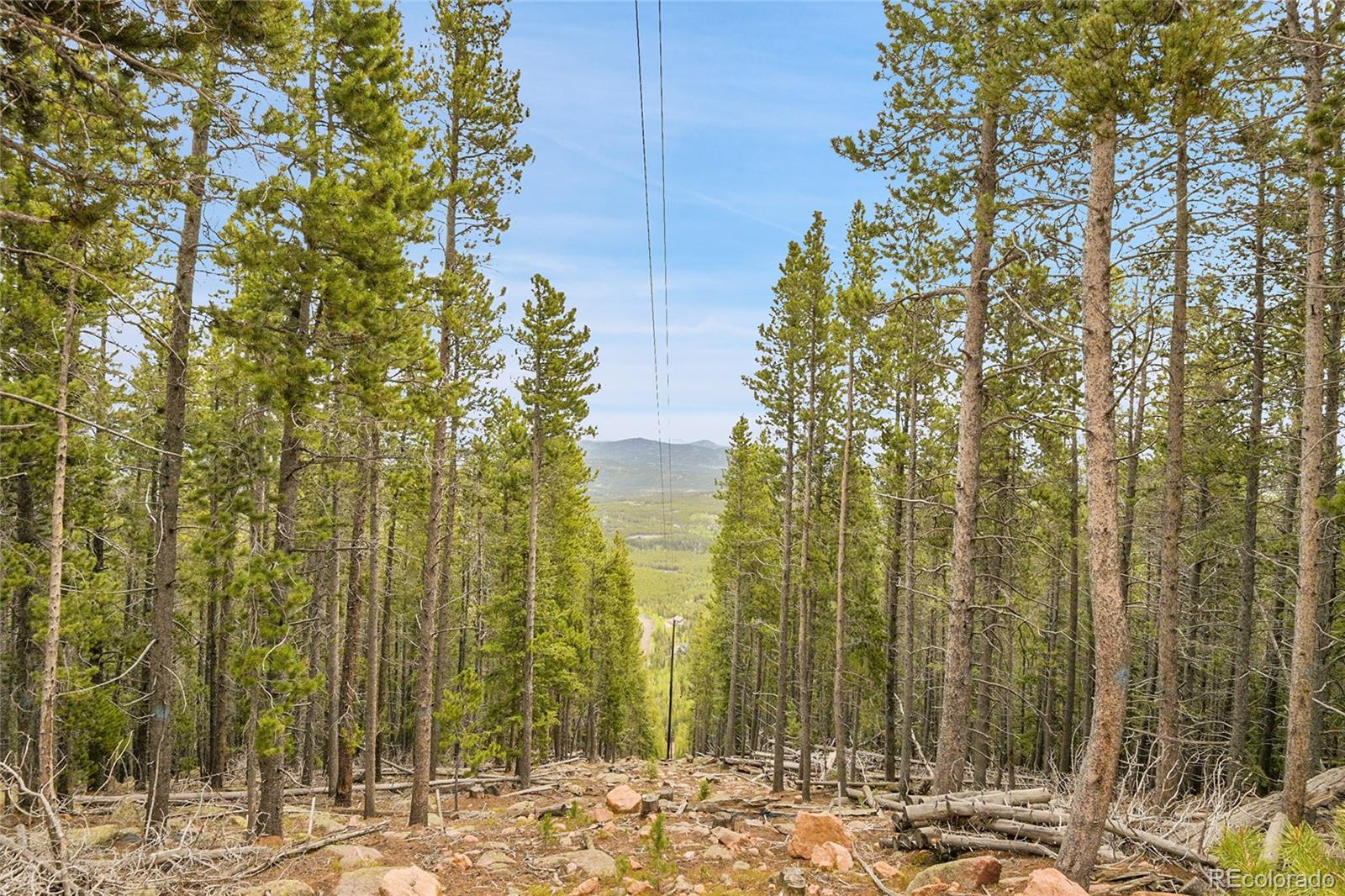 000 Mule Slide Trail Conifer CO 80433