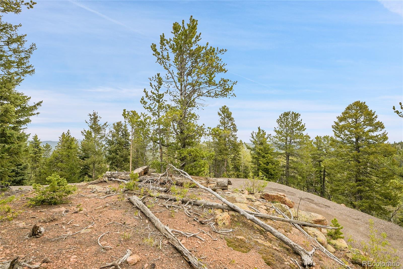 000 Mule Slide Trail Conifer CO 80433