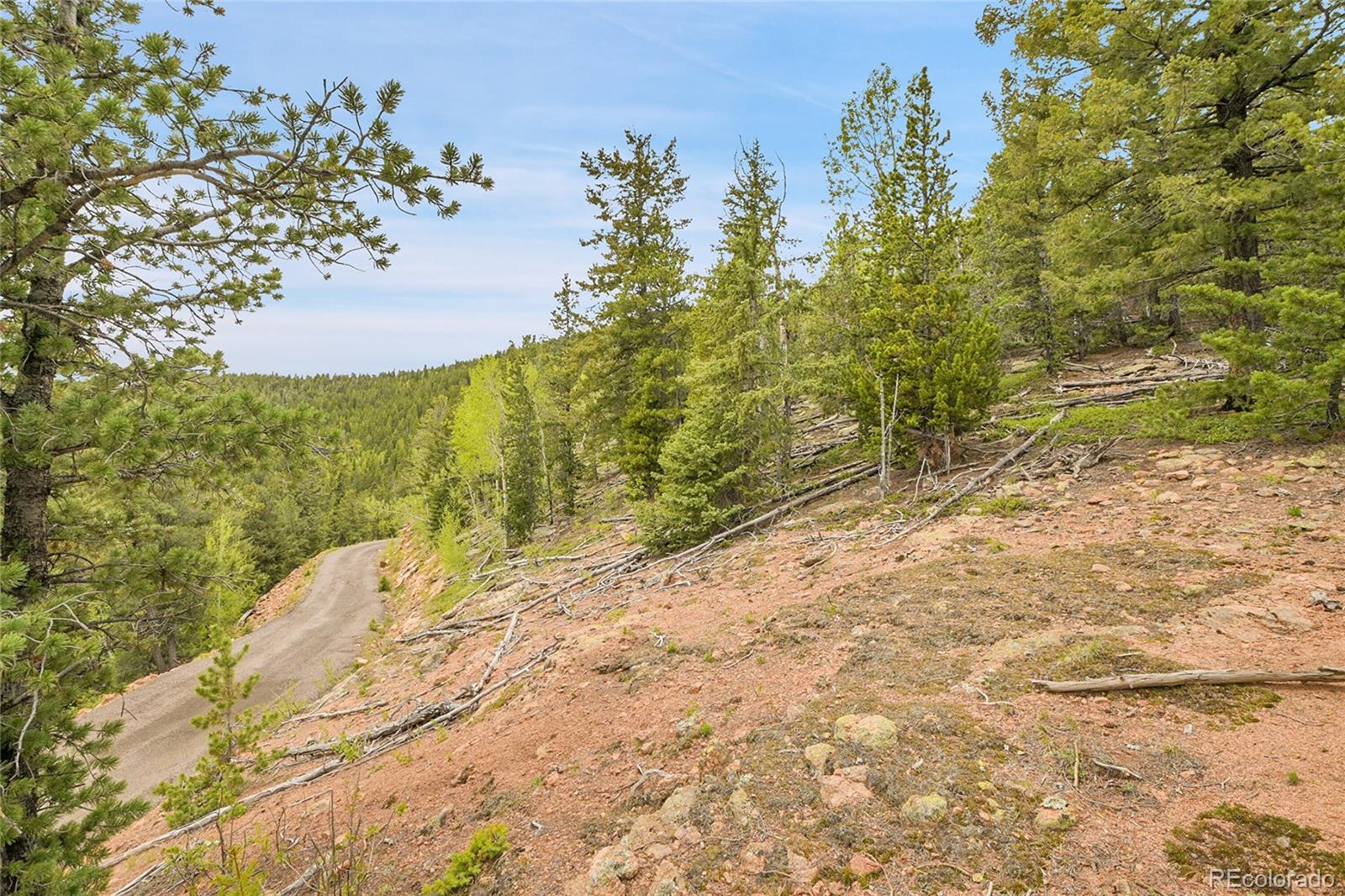 000 Mule Slide Trail Conifer CO 80433