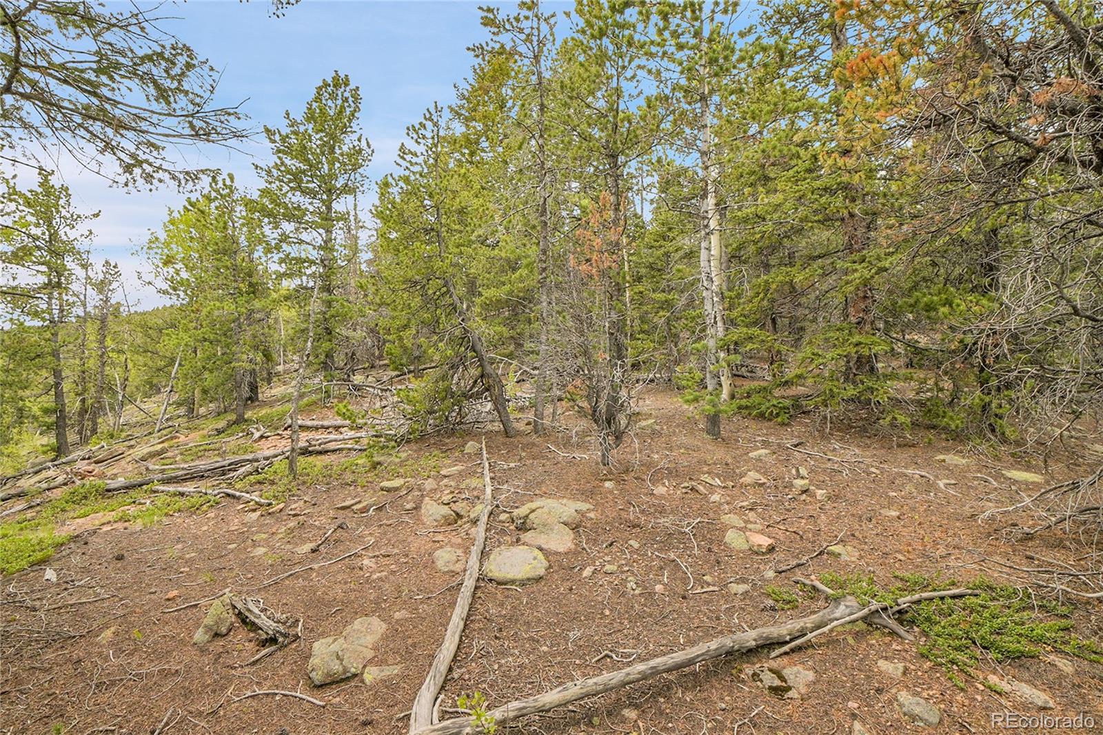 000 Mule Slide Trail Conifer CO 80433
