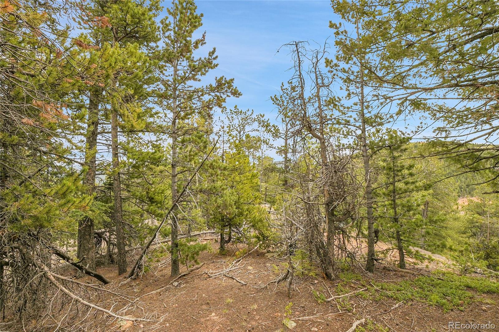 000 Mule Slide Trail Conifer CO 80433
