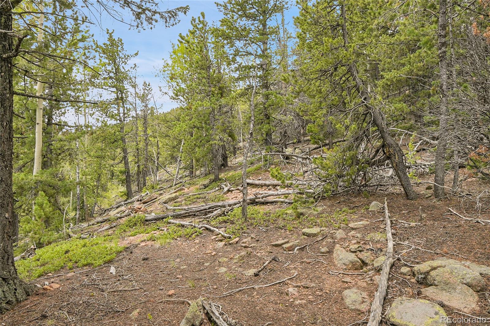 000 Mule Slide Trail Conifer CO 80433