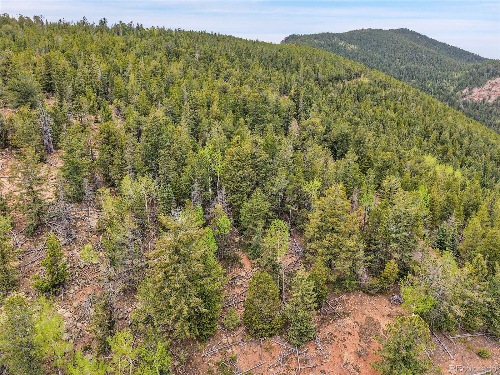 000 Mule Slide Trail Conifer CO 80433