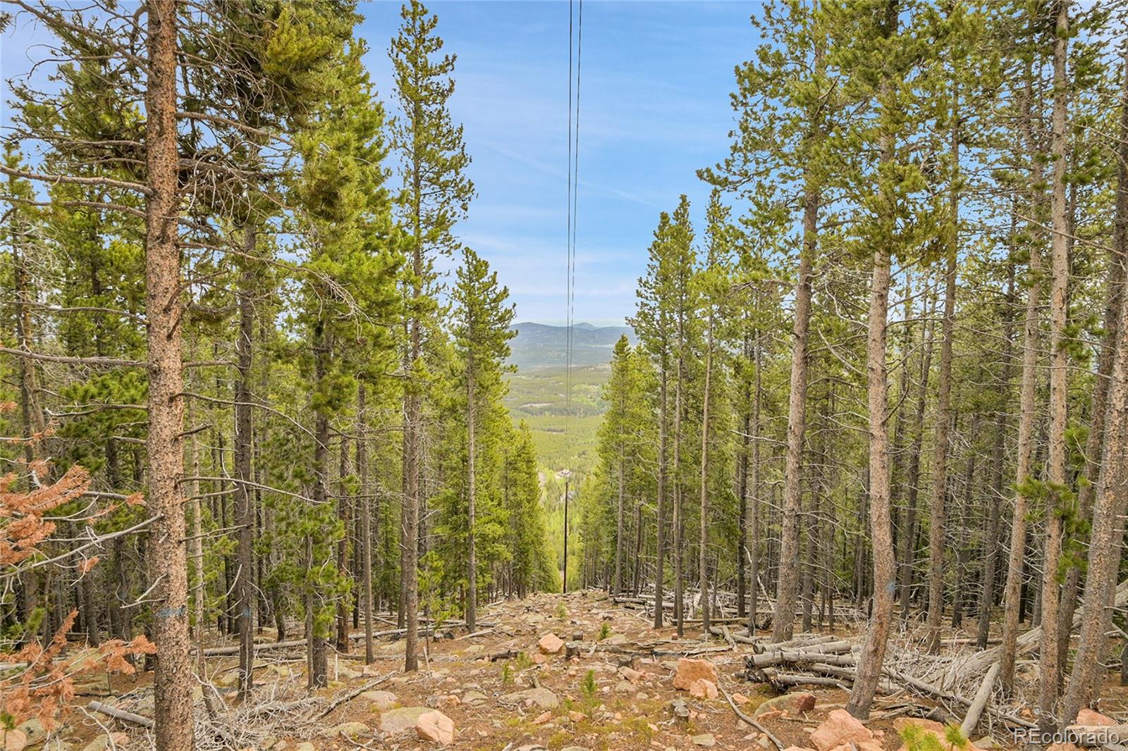 000 Mule Slide Trail Conifer CO 80433
