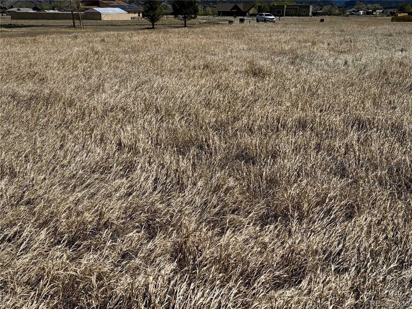 7710 Meadowlark Lane Salida CO 81201