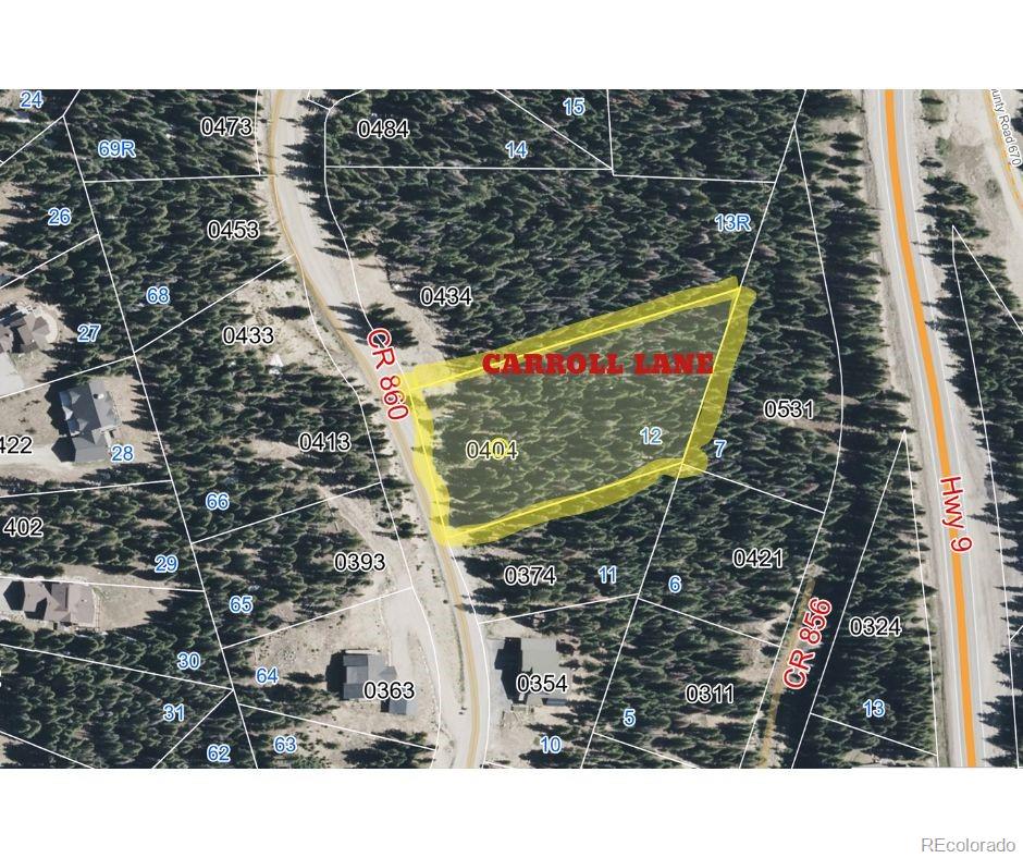 404 Carroll Lane Breckenridge CO 80424