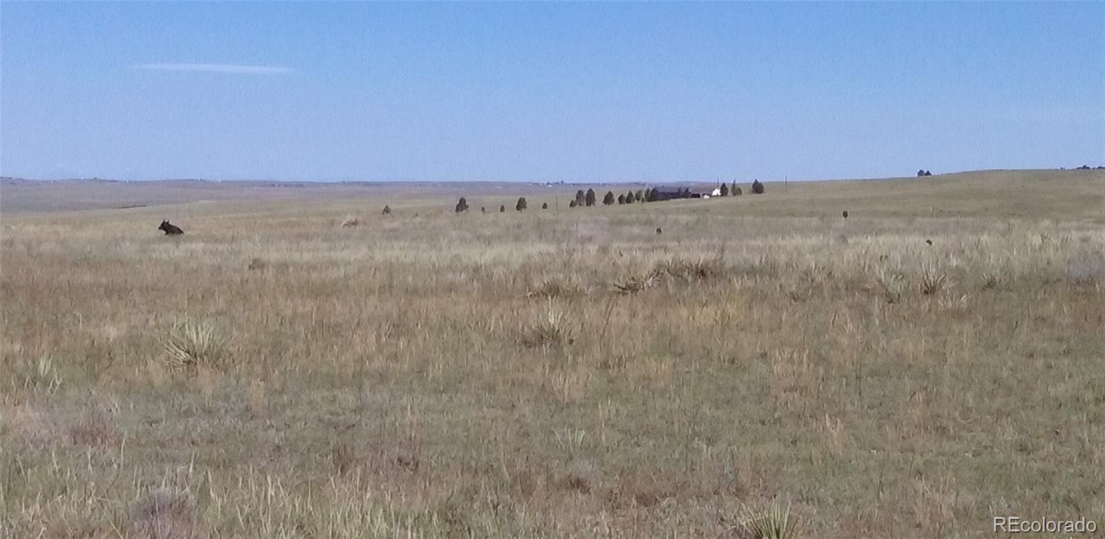 12115 Street Highway 86 Highway Kiowa CO 80117