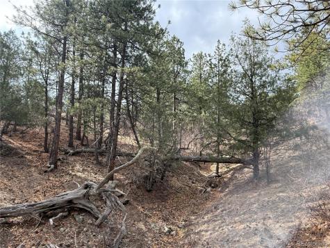 3152 Chris Crossover Canon City CO 81212