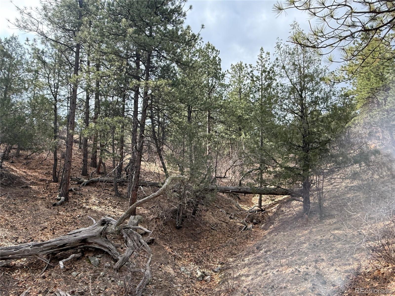 3152 Chris Crossover Canon City CO 81212