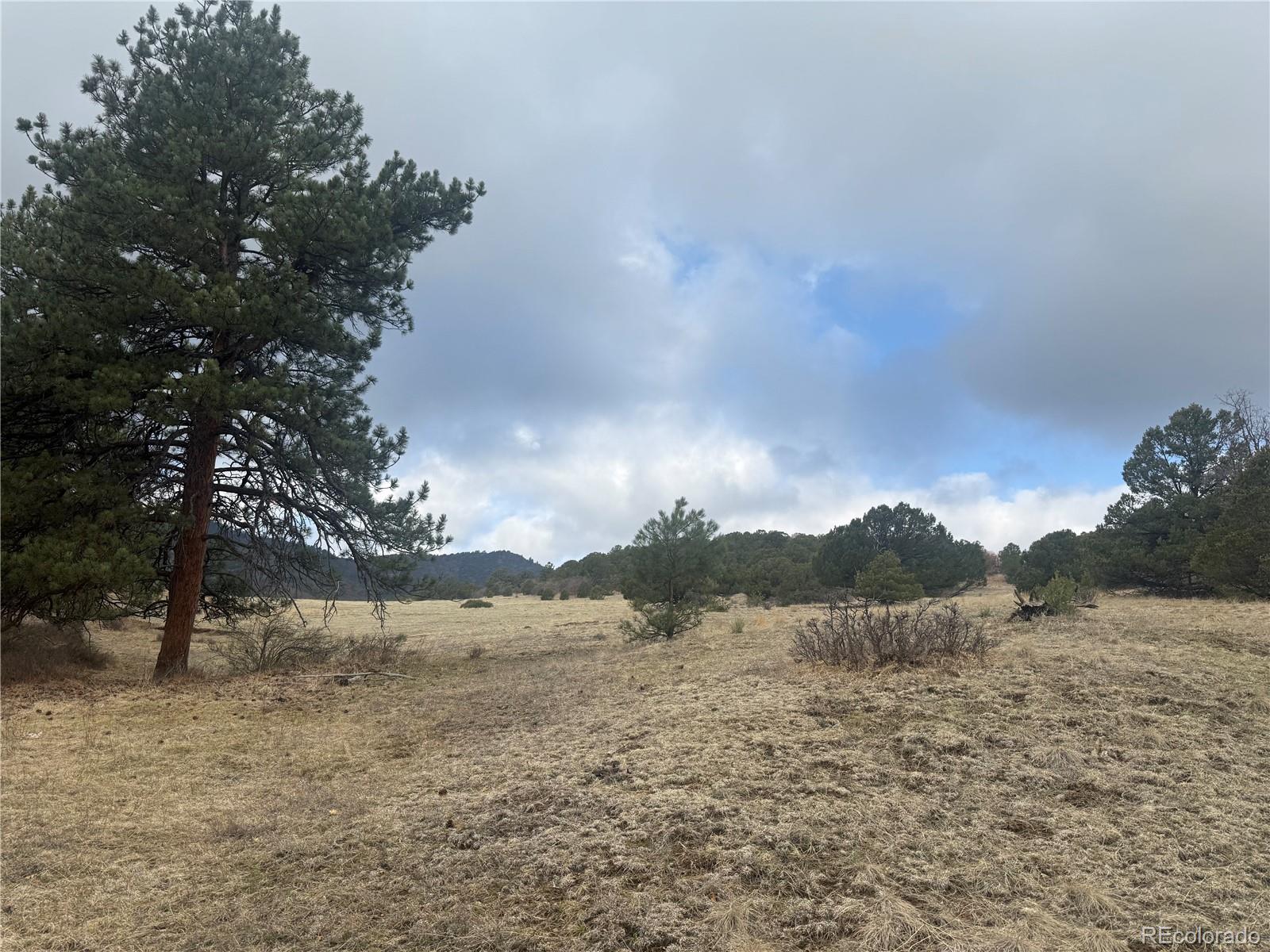 3152 Chris Crossover Canon City CO 81212