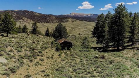 2261 Meteor Placer Twin Lakes CO 81251