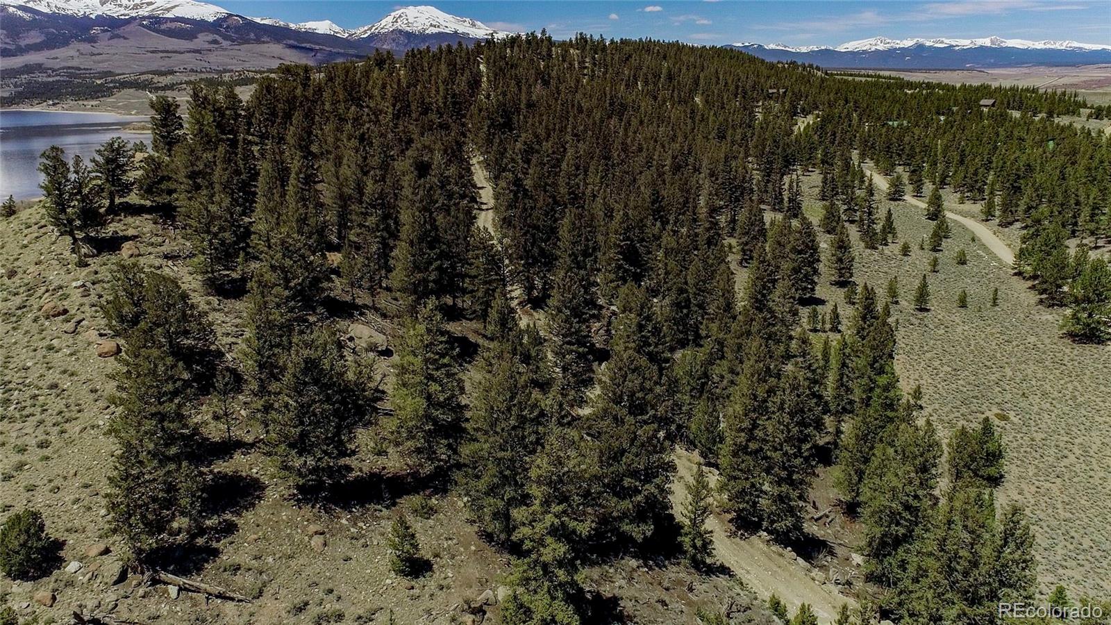 2261 Meteor Placer Twin Lakes CO 81251