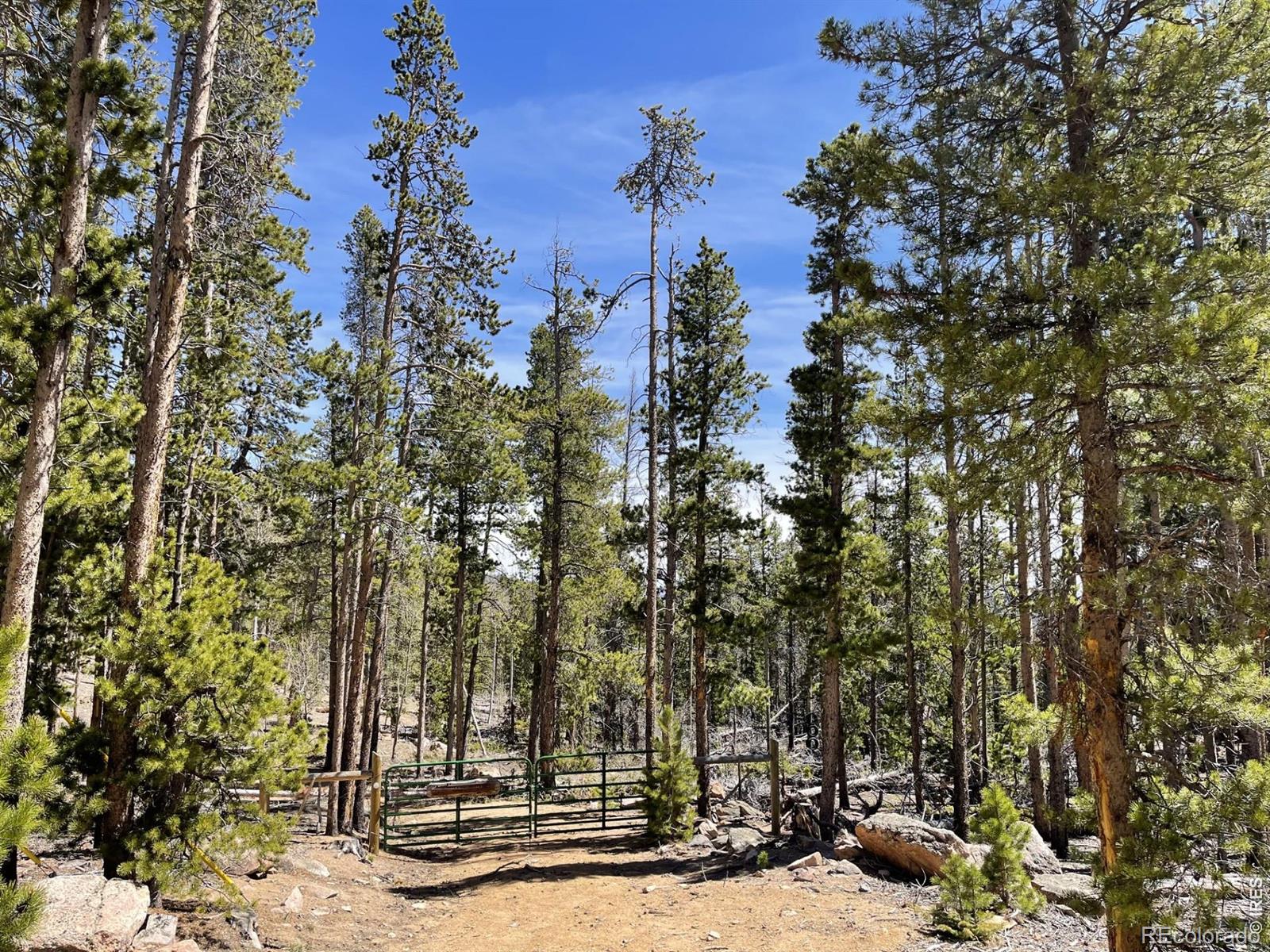 1374 Jicarilla Trail Red Feather Lakes CO 80545