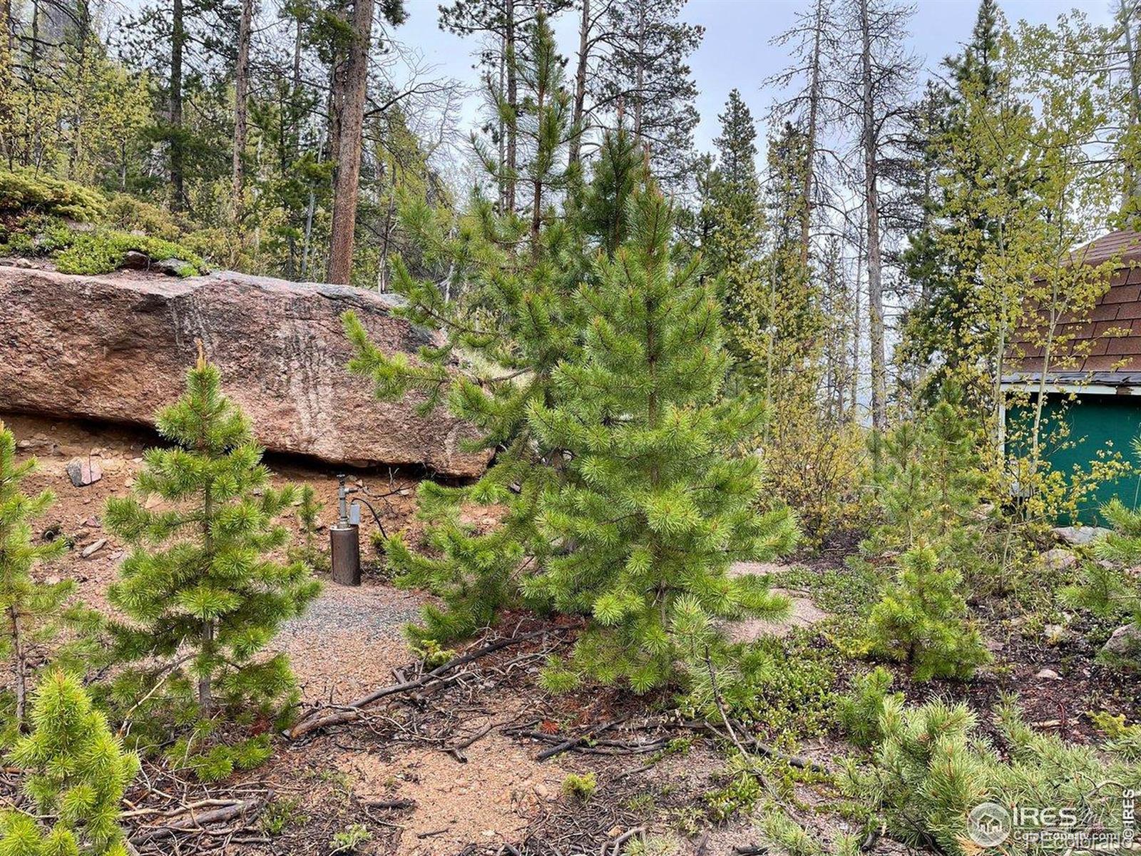 1374 Jicarilla Trail Red Feather Lakes CO 80545