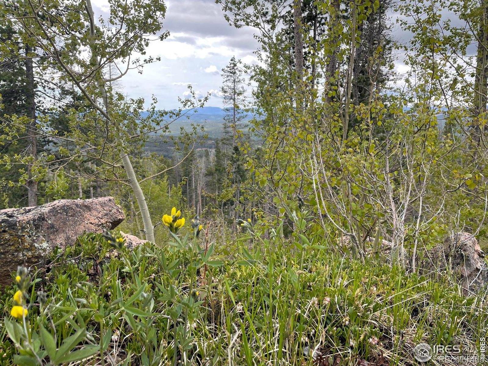 1374 Jicarilla Trail Red Feather Lakes CO 80545