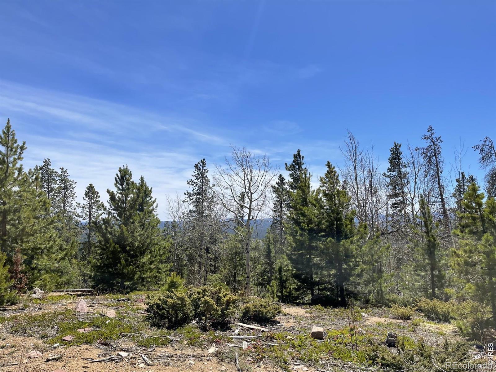 1374 Jicarilla Trail Red Feather Lakes CO 80545