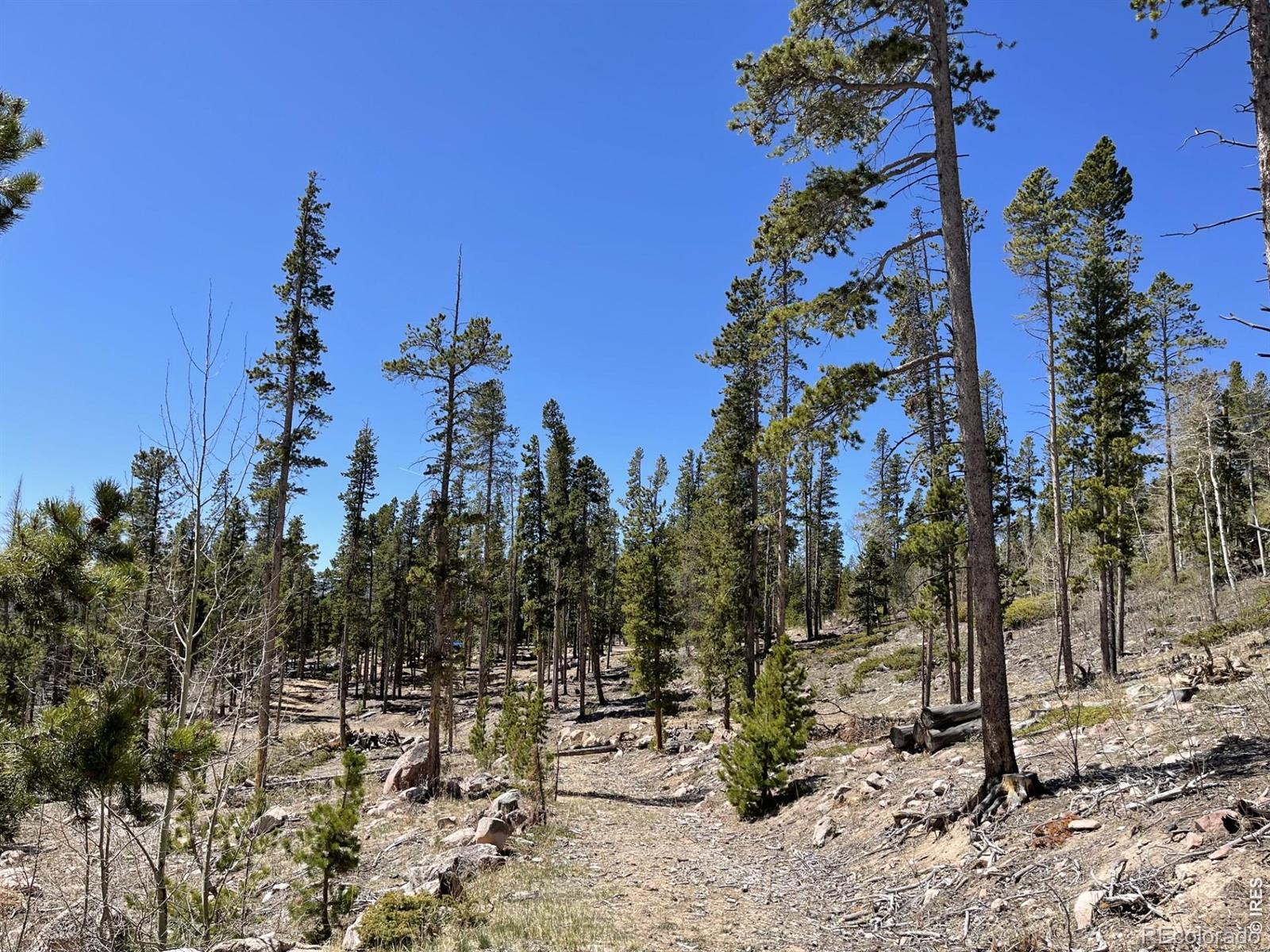 1374 Jicarilla Trail Red Feather Lakes CO 80545