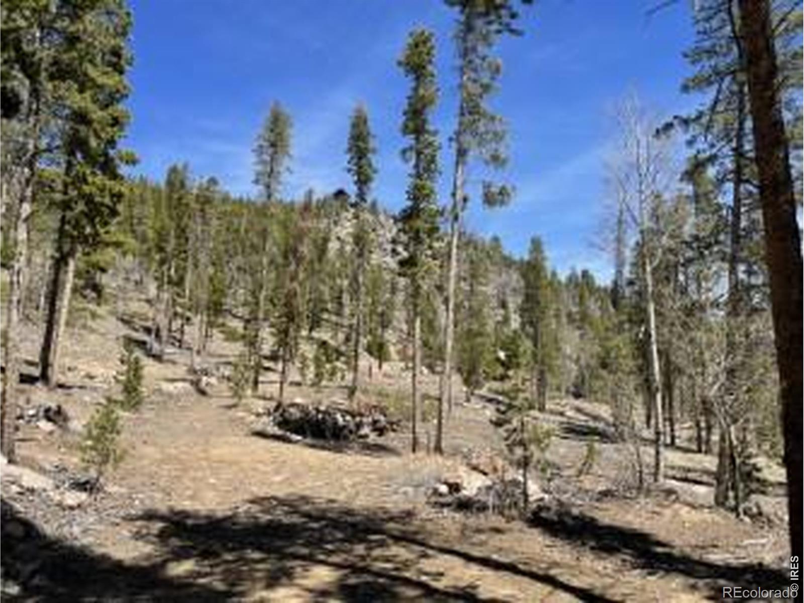 1374 Jicarilla Trail Red Feather Lakes CO 80545