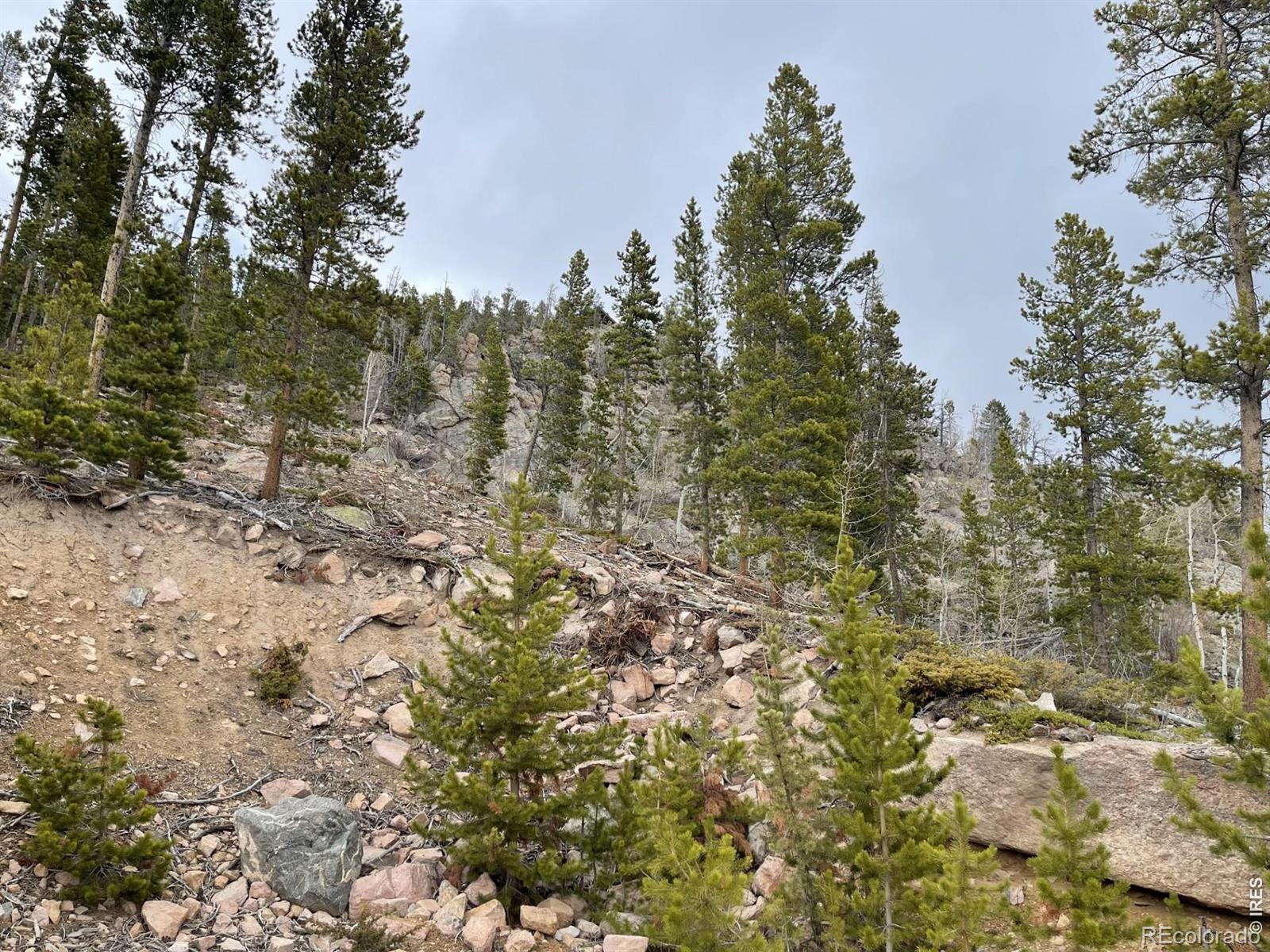 1374 Jicarilla Trail Red Feather Lakes CO 80545