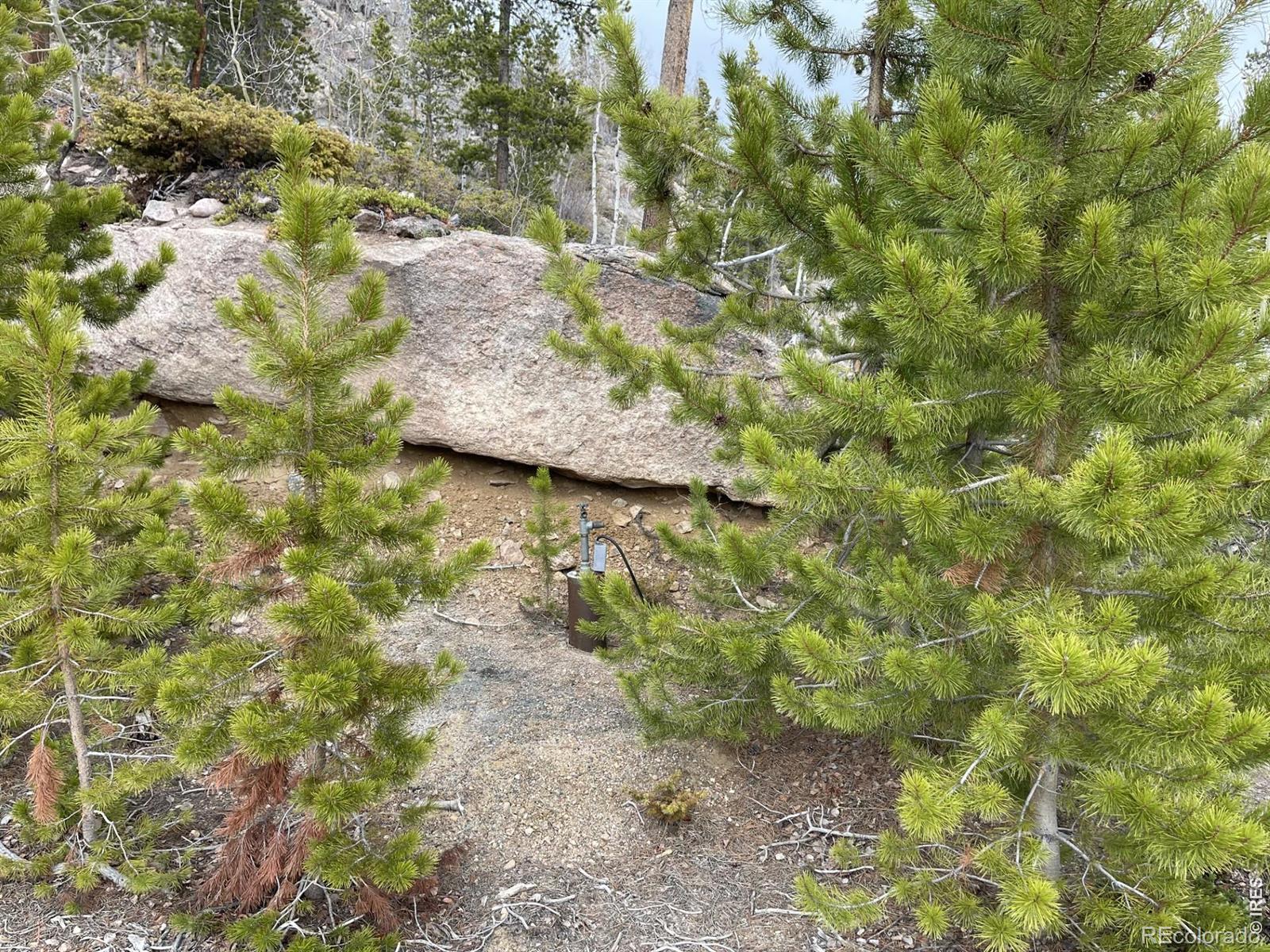 1374 Jicarilla Trail Red Feather Lakes CO 80545