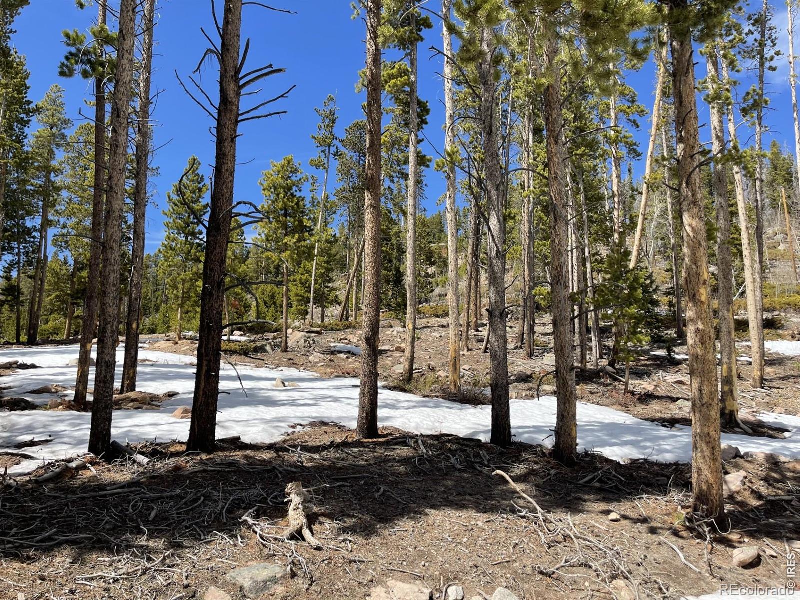 1374 Jicarilla Trail Red Feather Lakes CO 80545