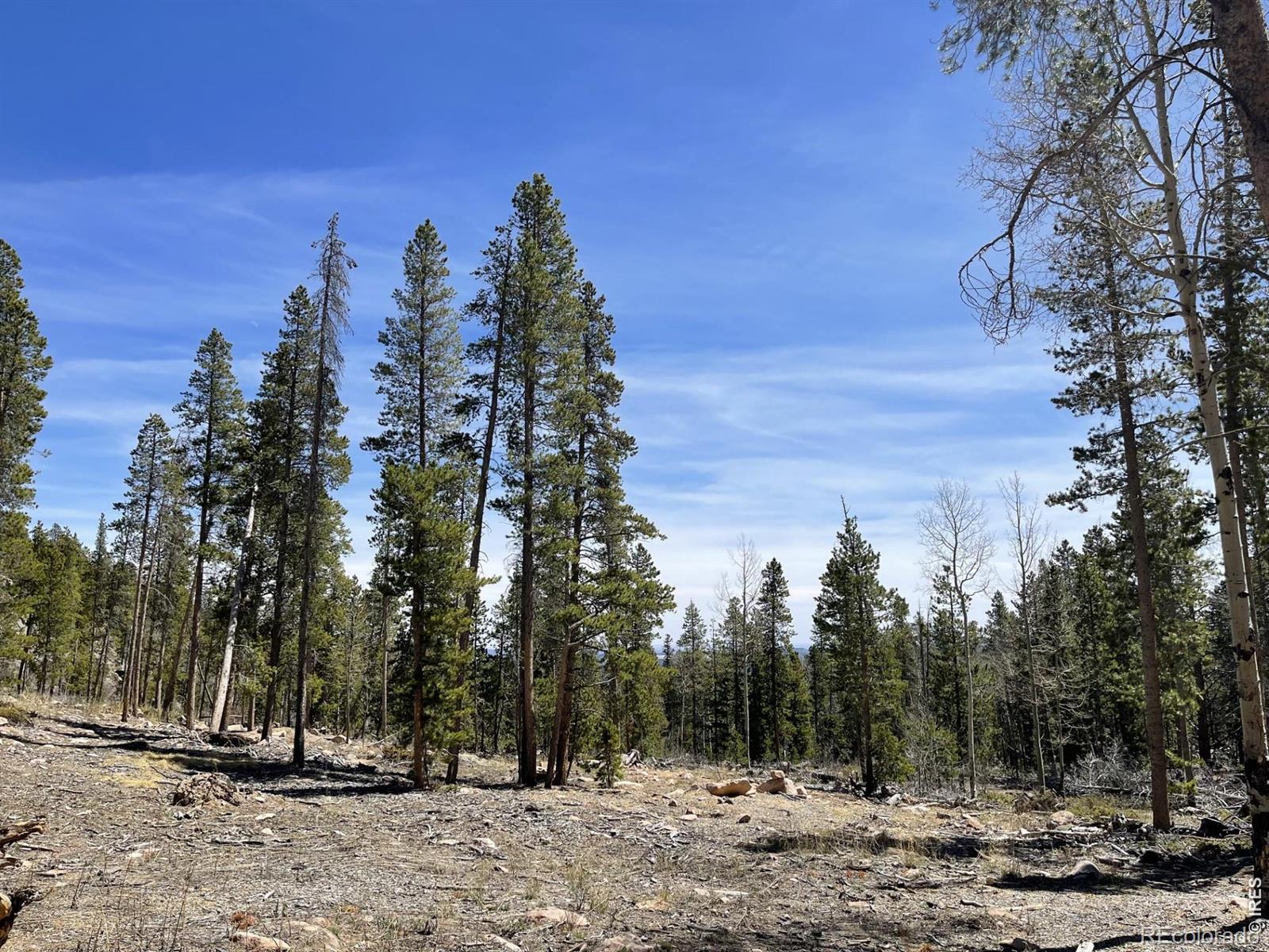 1374 Jicarilla Trail Red Feather Lakes CO 80545