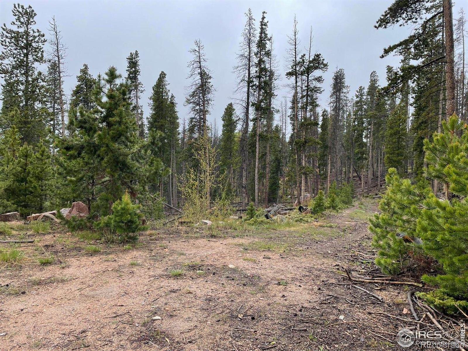 1374 Jicarilla Trail Red Feather Lakes CO 80545