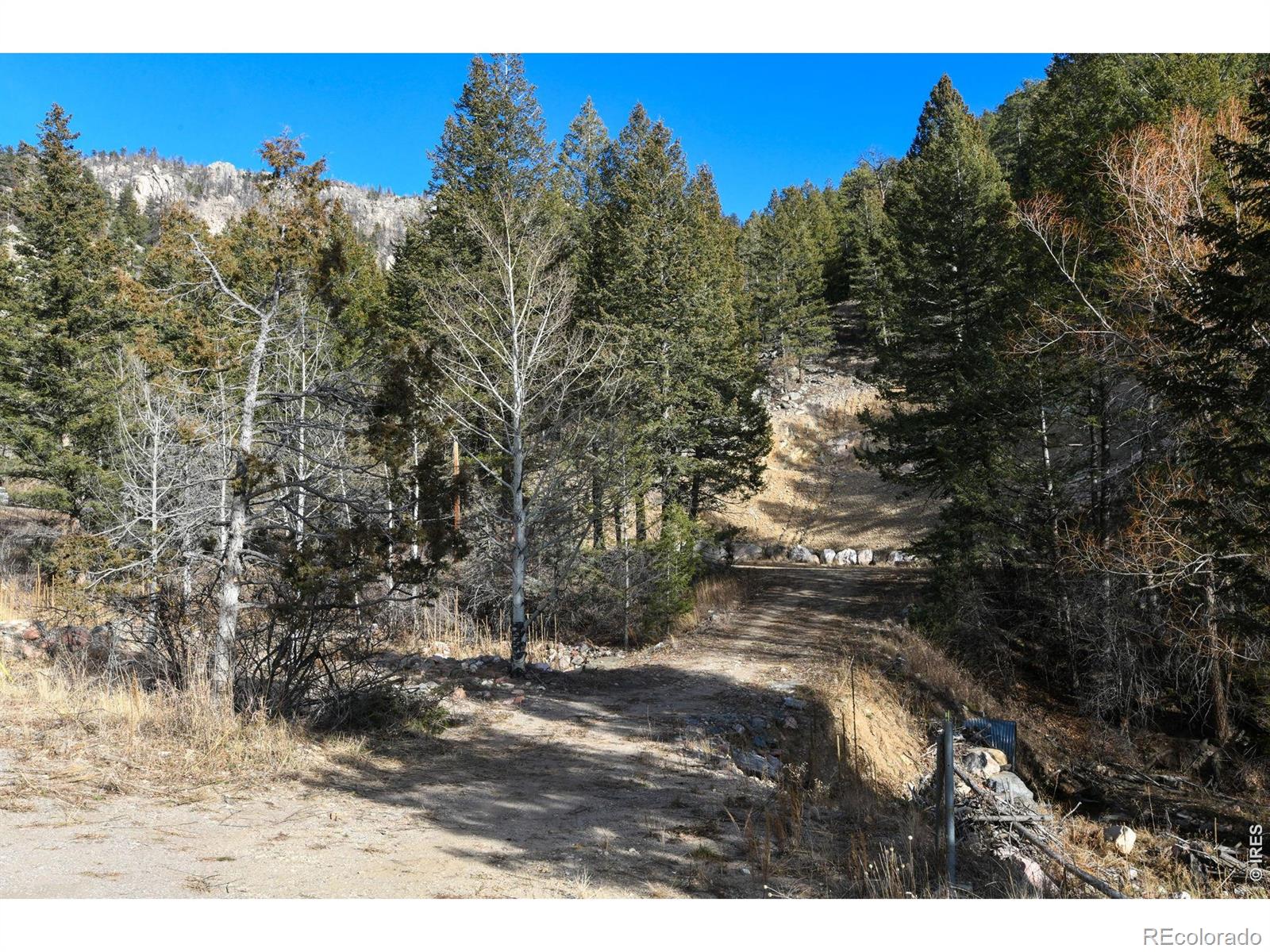 416 Black Creek Drive Glen Haven CO 80532