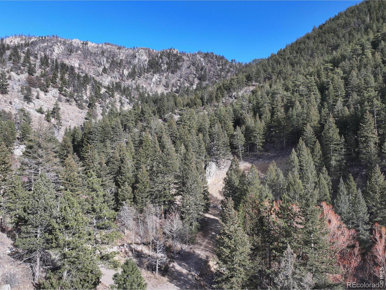 416 Black Creek Drive Glen Haven CO 80532