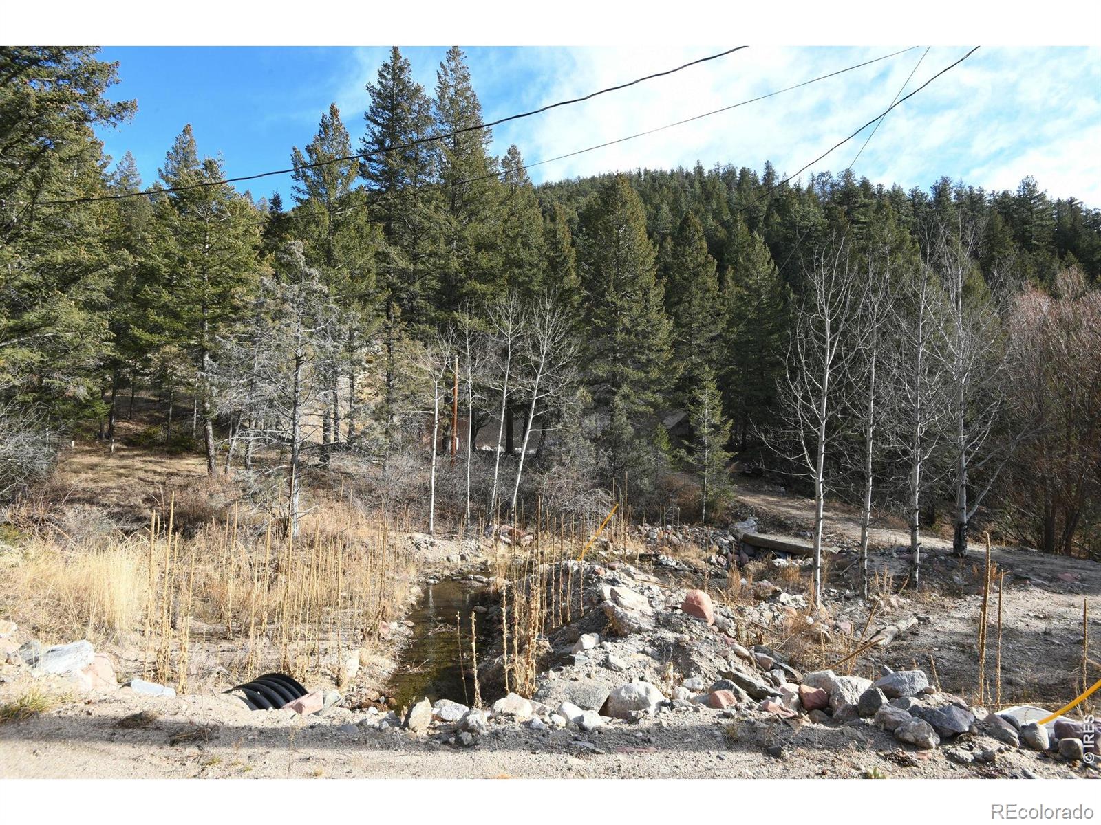 416 Black Creek Drive Glen Haven CO 80532