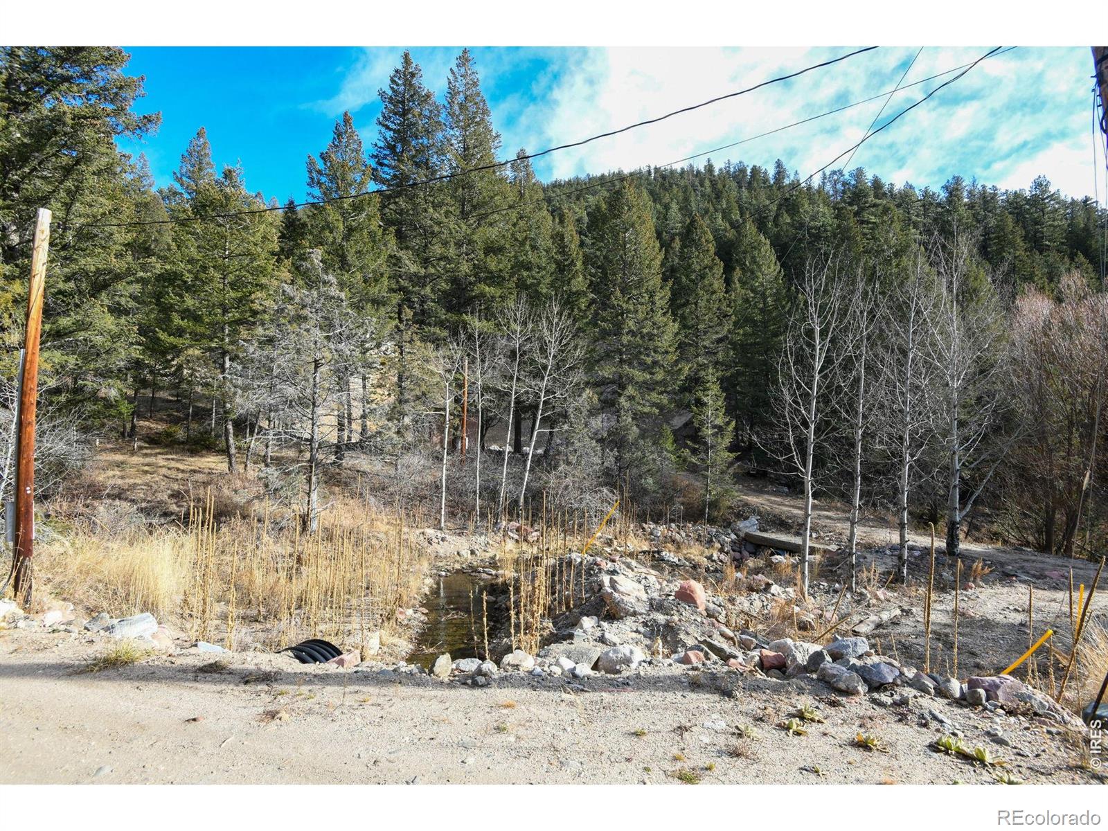 416 Black Creek Drive Glen Haven CO 80532