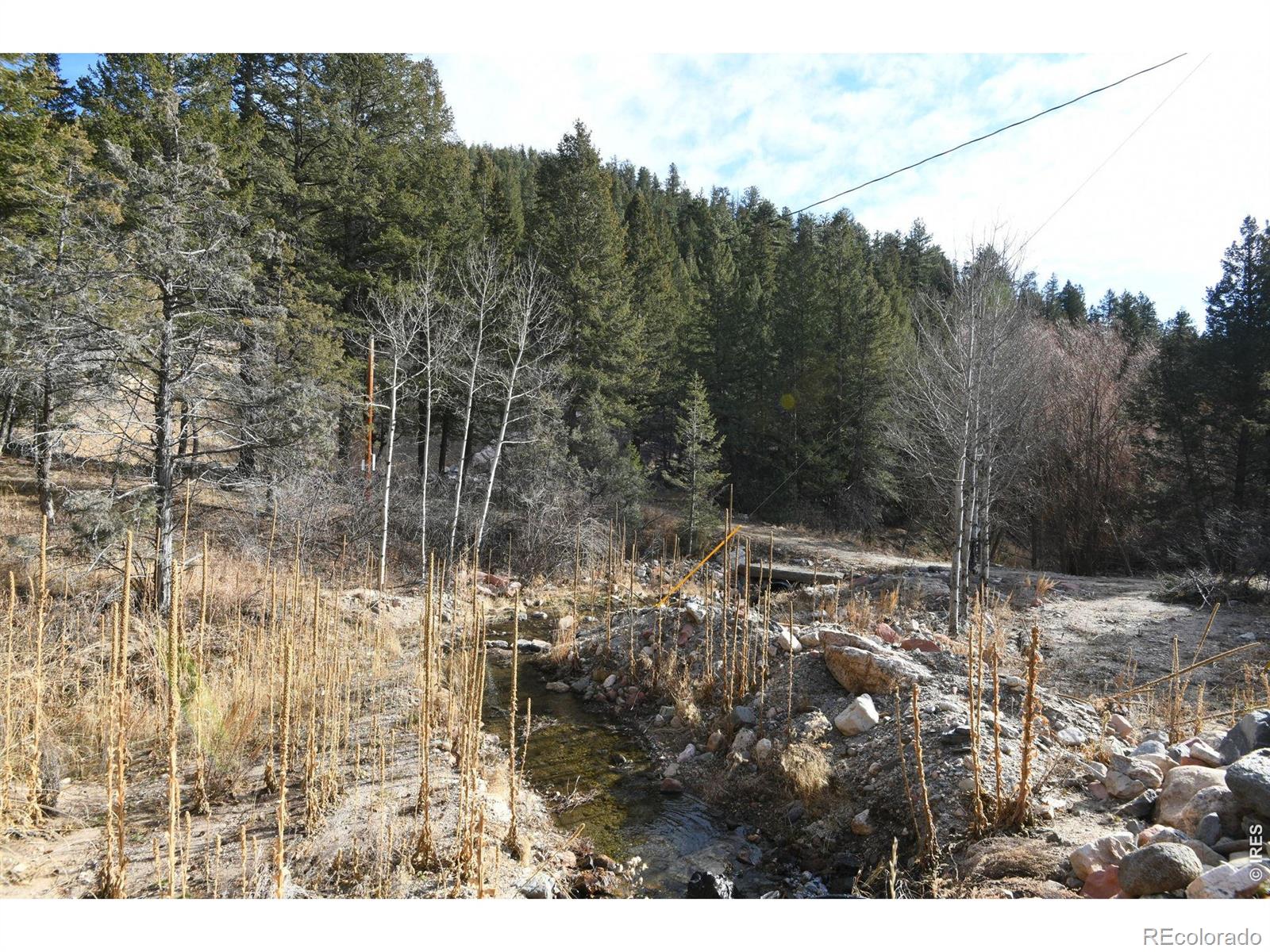 416 Black Creek Drive Glen Haven CO 80532
