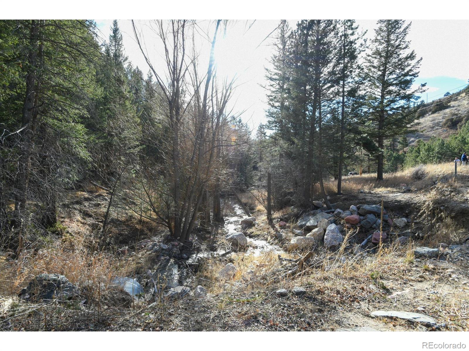 416 Black Creek Drive Glen Haven CO 80532