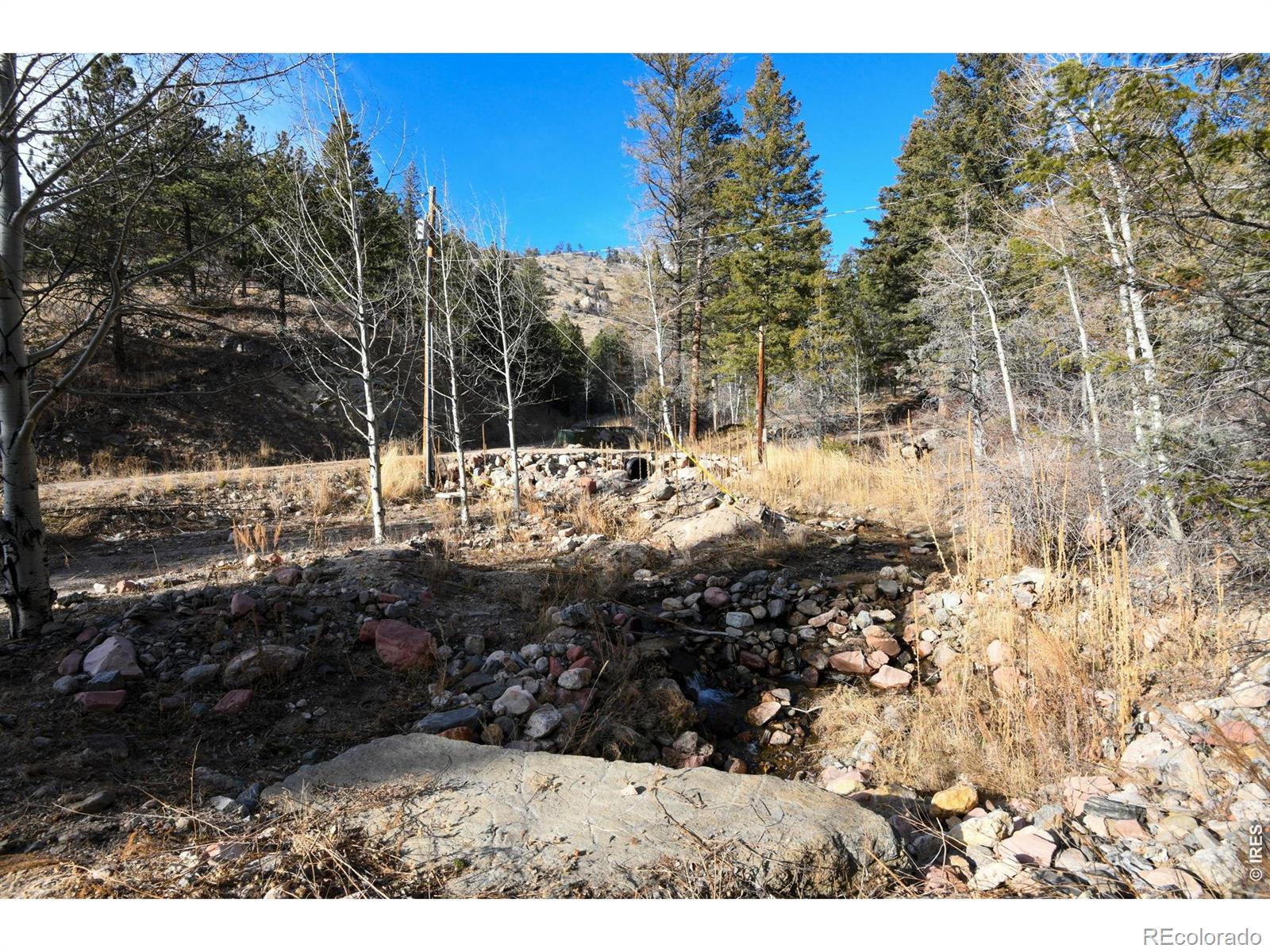 416 Black Creek Drive Glen Haven CO 80532