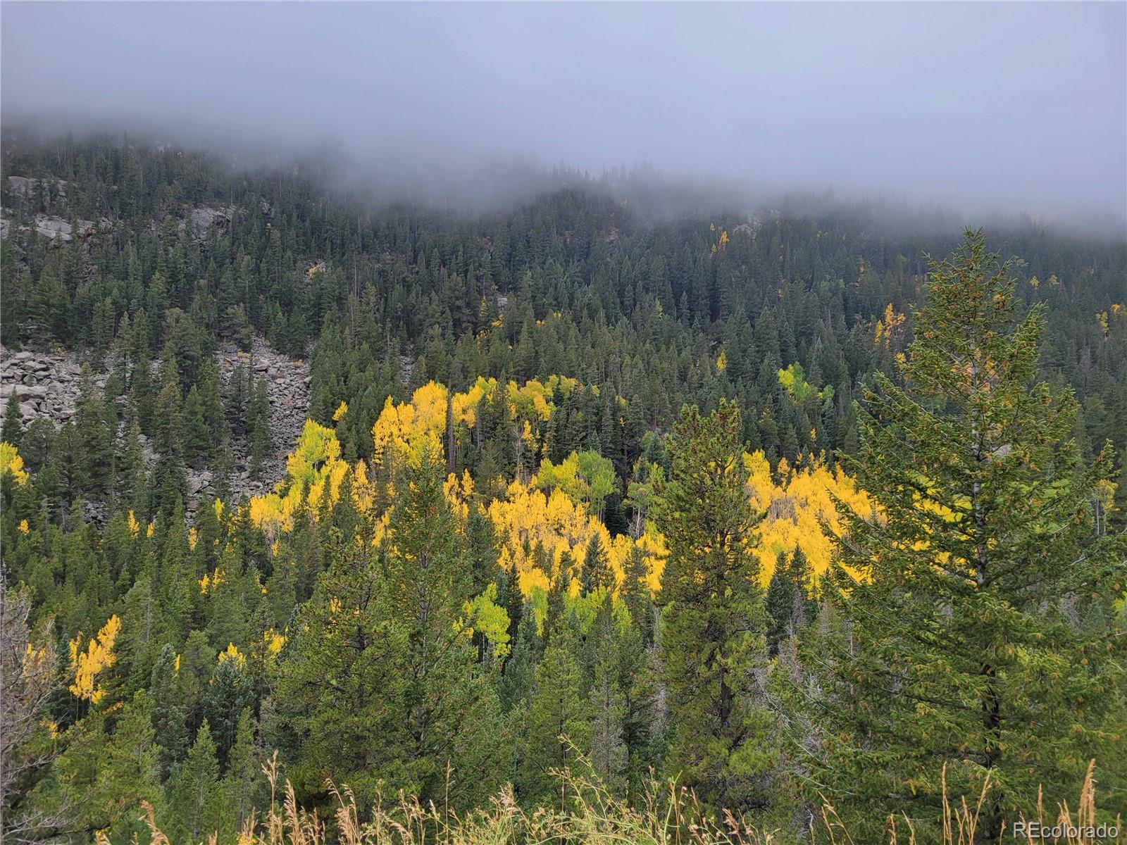 Lot 13 & 14 Park Avenue Grand Lake CO 80447