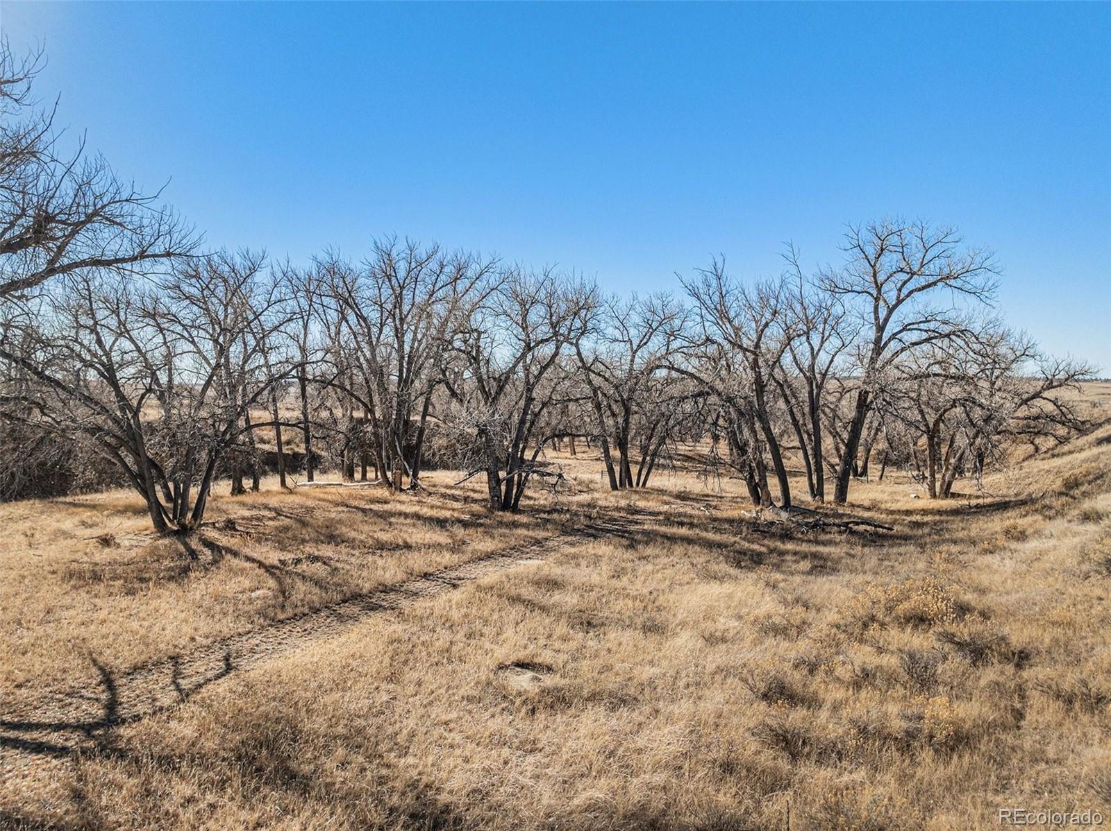 21052 Way Of Peace Deer Trail CO 80105