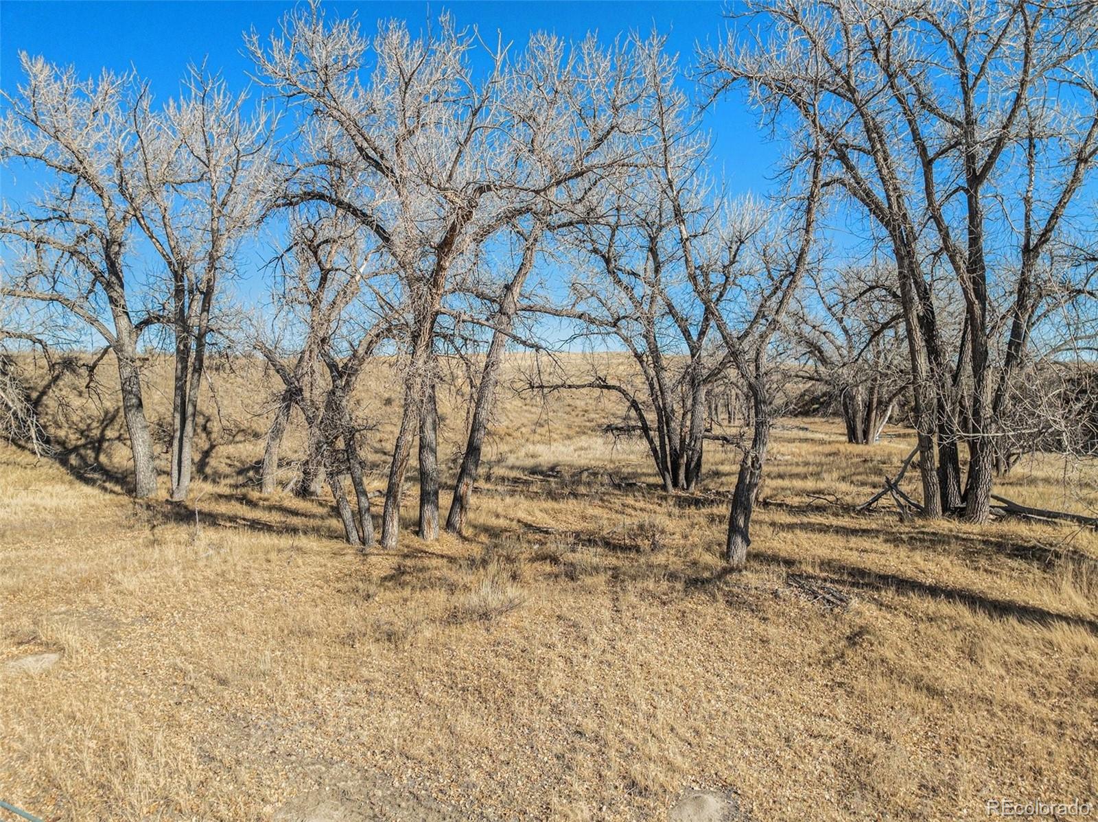 21052 Way Of Peace Deer Trail CO 80105