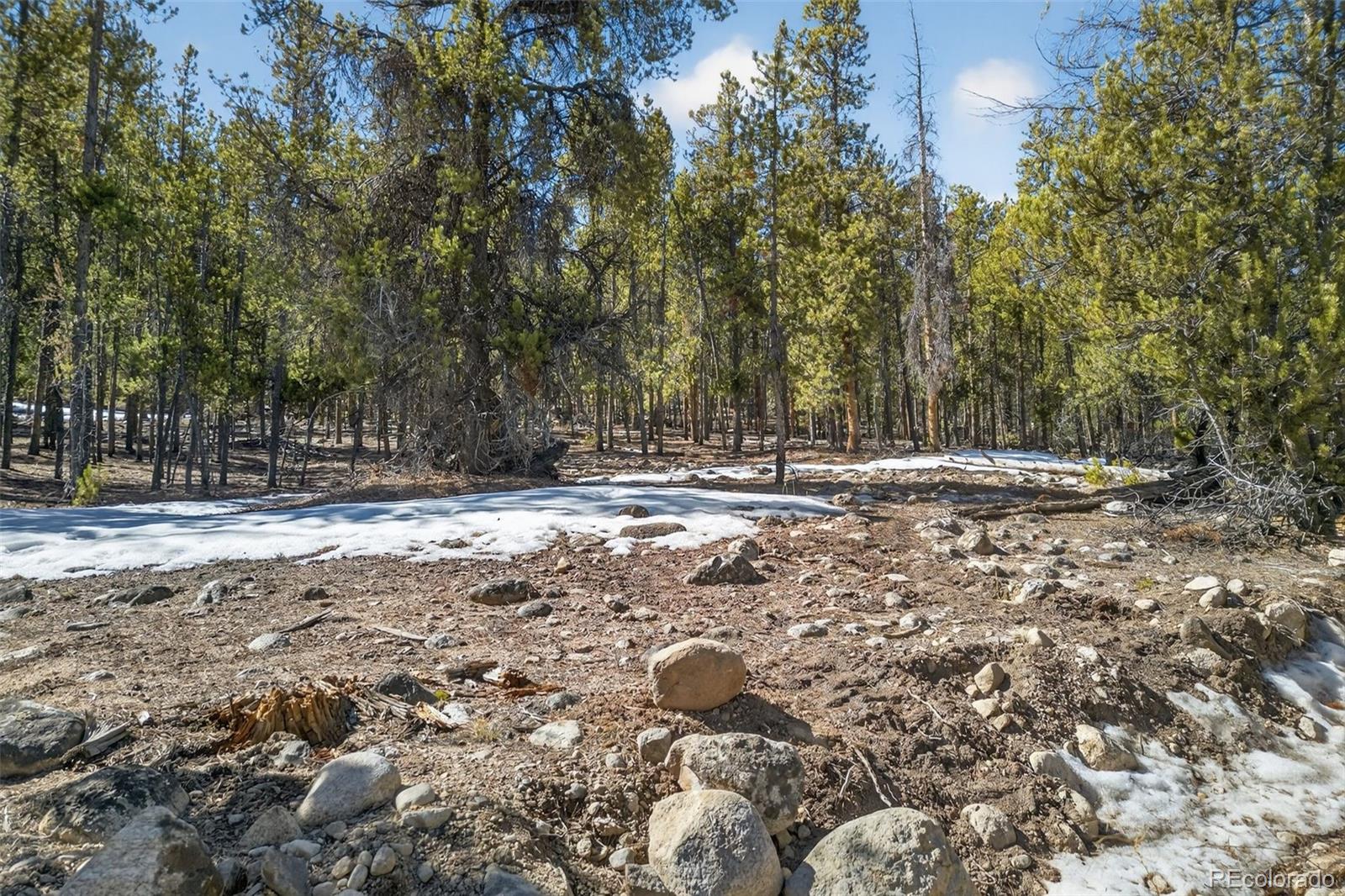 312 Mount Massive Road Twin Lakes CO 81251