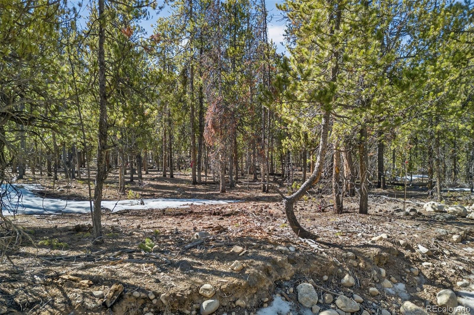 312 Mount Massive Road Twin Lakes CO 81251