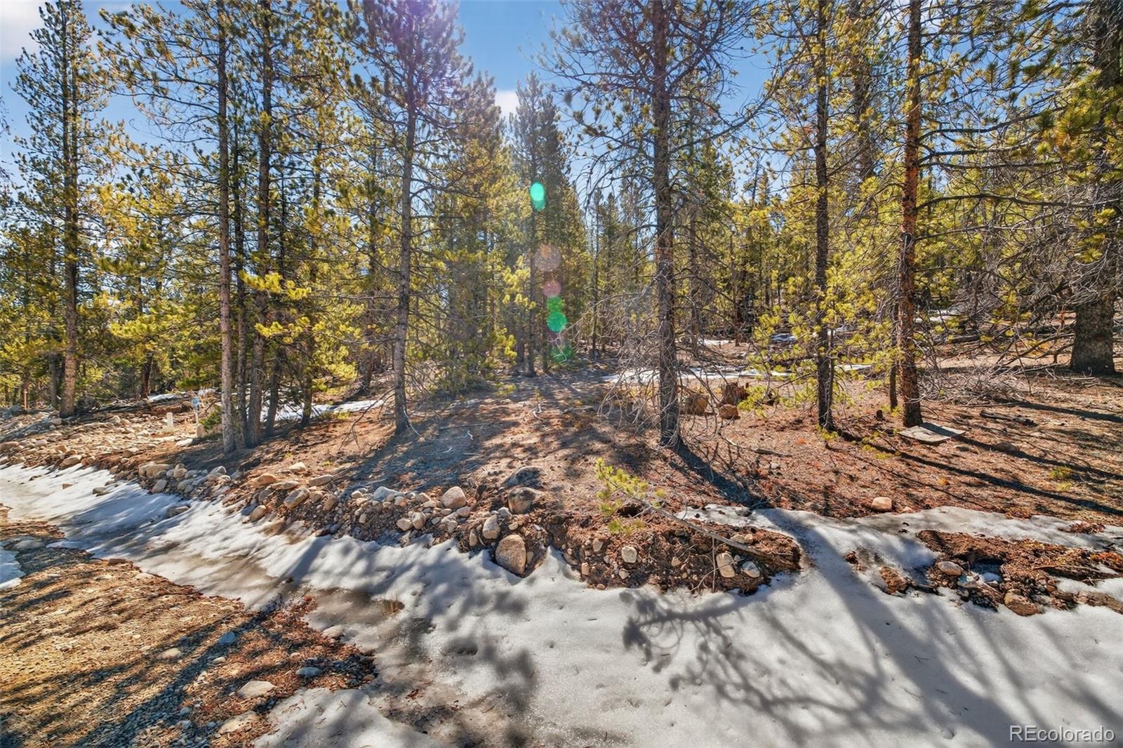 312 Mount Massive Road Twin Lakes CO 81251